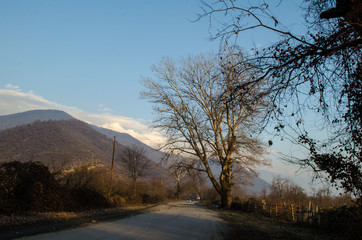 Landscape of asphalt road going off into the mountain passes through the trees, villages and forest places. or rural places of Azerbaijan at sunset