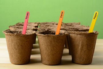 Multicolored sticks in peat pots