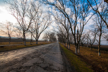 Beautiful landscape of country side road with trees in winter time at sunset. Azerbaijan, Caucasus, Sheki, Gakh, Zagatala