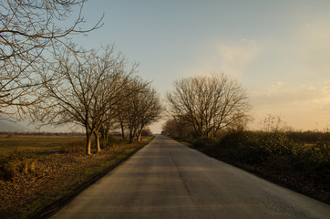 Fototapeta premium Autumn or winter landscape with road and trees. The gold light beams sunset. On a background of mountains and the sky with clouds. Azerbaijan Caucasus