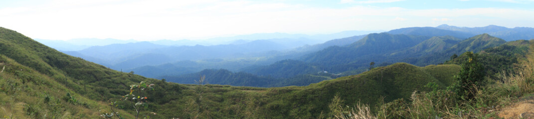 The mountain is green.