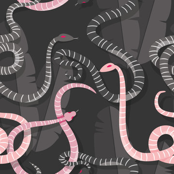 Seamless pattern with colorful intertwined striped rain forest snakes