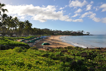 hawaiian beaches