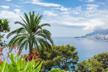 Panoramic view of Monte Carlo from the villa.