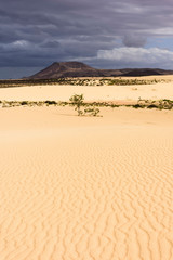 Fototapeta na wymiar dunes de corralejo