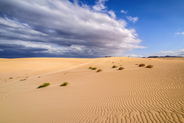 dunes de corralejo