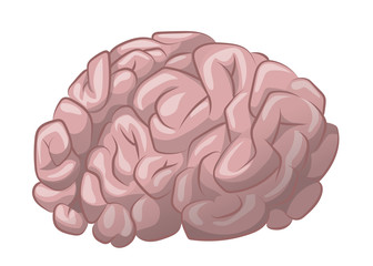 Brain vector illustration