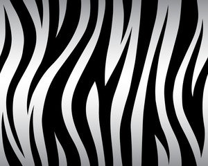 Fototapeta na wymiar stripe animals jungle bengal tiger fur texture pattern seamless repeating white black