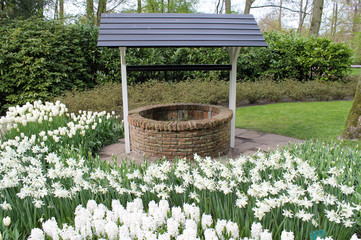 Brunnen zwischen Frühlingsblumen, Keukenhof