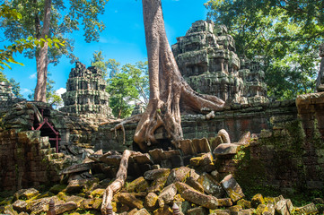 The ancient ruins and tree roots,of a historic Khmer temple in the temple complex of Angkor Wat in Cambodia. Travel Cambodia