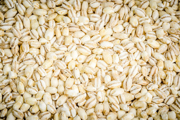 barley closeup, background