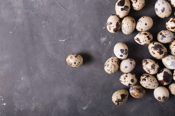 Quail eggs on a gray background.  Eggs.  Easter photo concept. Copyspace