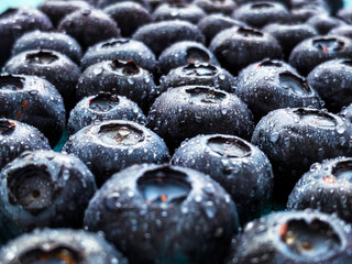 Freshly picked blueberries
