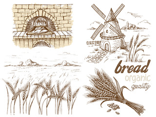 fresh bread and a oven windmill ears in graphic style