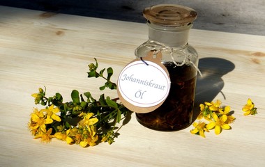 Johanniskraut, Hypericum, Heilpflanze