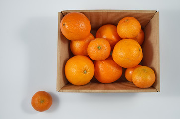 orange box
