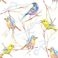 Birds, drawing, illustration, seamless pattern