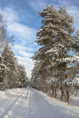 Winter country road