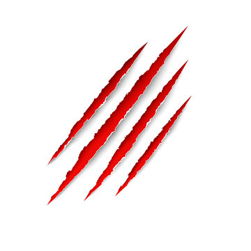 Animal scratches - vector. Claws scratching tiger (cat) vector illustration.  Scratch traces. 