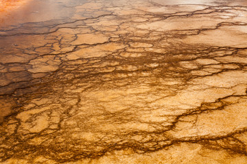 Geothermal Hot Springs Yellowstone National Park Wyoming
