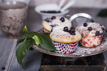Blueberry muffins with powdered sugar