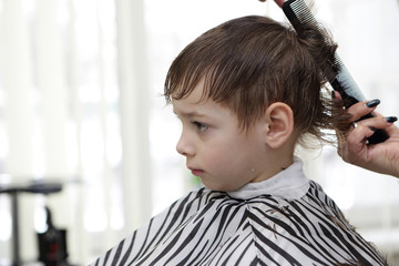 Barber cutting hair of preschooler