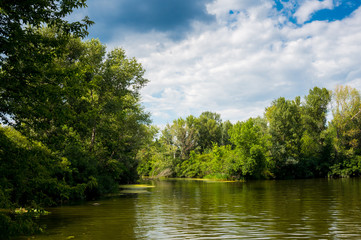 Речной летний ландшафт