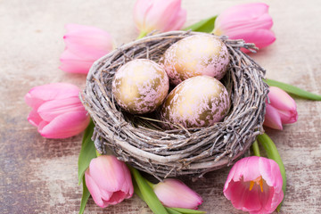 Easter eggs in the nest und tulip. Gray background.