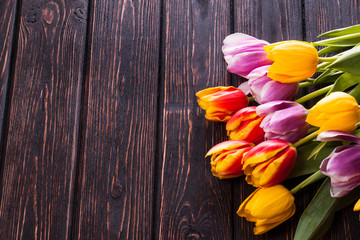 Colored fresh tulip on wood desk