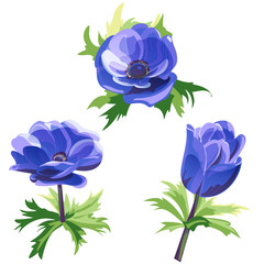 Set of blue flowers and bud, anemone, stems and leaves on white background, digital draw, decorative illustration, vector