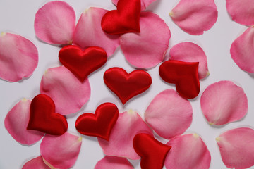 Red plush hearts and pink rose petals on white background