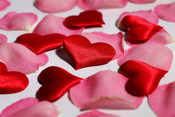 Red plush hearts and pink rose petals on white background