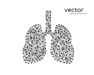 Abstract vector illustration of human lungs.