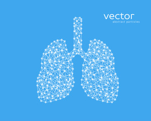 Abstract vector illustration of human lungs.