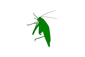 Grasshopper. Cartoon drawing of a grasshopper, vector illustration