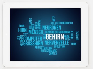 Gehirn