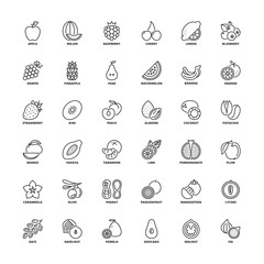 Outline icons. Fruit
