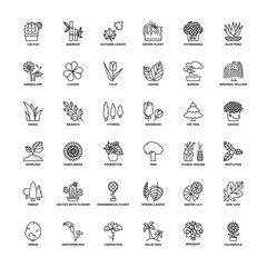 Outline icons. Flowers, plants and trees