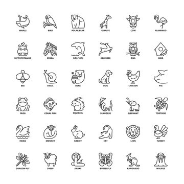 Outline icons. Animals