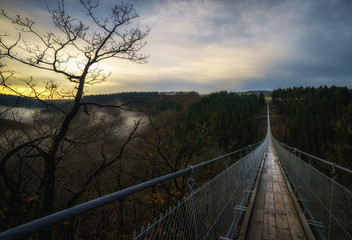 Brücke über dem Wald