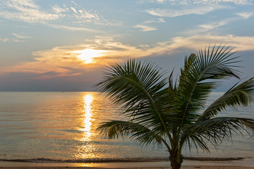 Naklejka na ściany i meble Sea sunset and palm tree