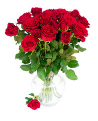 Bouquet of dark red fresh rose flowers buds with green leaves in glass vase isolated on white background