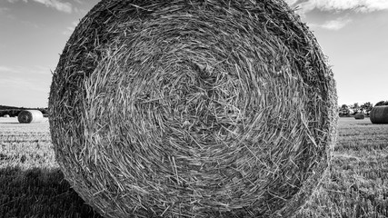 Strohballen liegen auf dem Sommerfeld