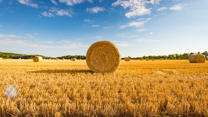 Strohballen liegen auf dem Sommerfeld