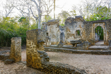Fototapeta na wymiar Ruins of ancient Gedi (Gede). Swahili town in Kenya near Malindi