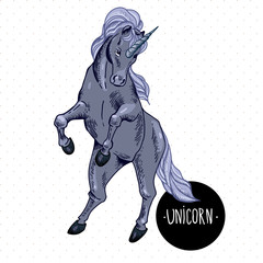 Fototapeta na wymiar vector illustration of black unicorn 