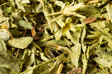 Dried Stevia Close Up