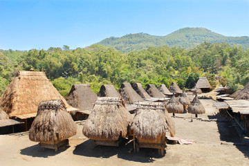 Bena Village of Ngada culture situated at the foot of Mount Inerie on Flores island, Indonesia   © robnaw