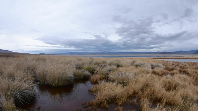 Wide angle master shot seasonal marsh with dry grass and puddles at Zzyzzx lake bed in Mojave Desert