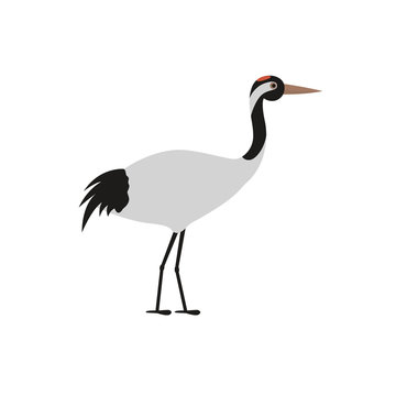 Japanese crane vector illustration for children